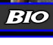 Bio